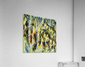 3838 8K Acrylic Print