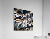 3805 8K Acrylic Print