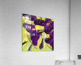 3816 8K Acrylic Print