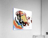 3839 8K Acrylic Print