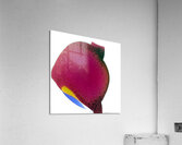 3802 8K Acrylic Print