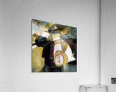 3830 8K Acrylic Print