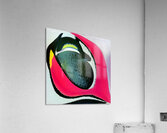 3836 8K Acrylic Print