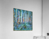 3828 8K Acrylic Print