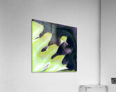 3844 8K Acrylic Print