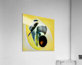 3861 8K Acrylic Print