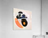 3871 8K Acrylic Print