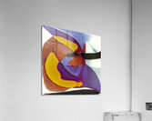 3845 8K Acrylic Print