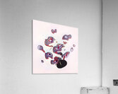 3848 8K Acrylic Print