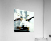 3896 8K Acrylic Print