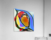 3911 8K Acrylic Print