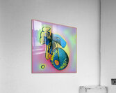 3914 8K Acrylic Print