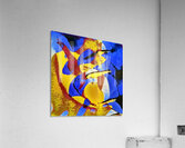 3886 8K Acrylic Print