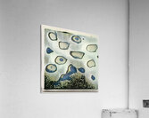 3897 8K Acrylic Print