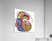 3895 8K Acrylic Print