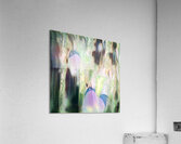 3894 8K Acrylic Print