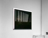 3953 8K Acrylic Print