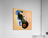 3930 8K Acrylic Print