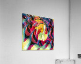 3954 8K Acrylic Print