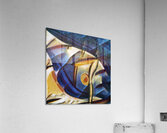 3955 8K Acrylic Print