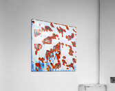 3938 8K Acrylic Print