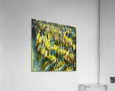 3999 8K Acrylic Print