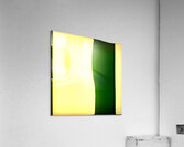 3979 8K Acrylic Print