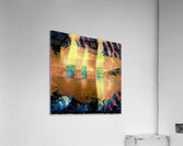 3986 8K Acrylic Print