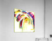 3971 8K Acrylic Print