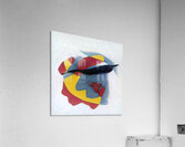 3992 8K Acrylic Print