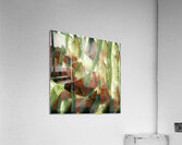 3981 8K Acrylic Print