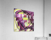 3977 8K Acrylic Print