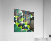 3993 8K Acrylic Print