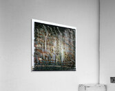 3982 8K Acrylic Print