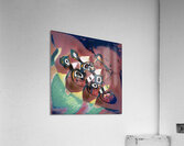 4011 8K Acrylic Print