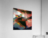 4025 8K Acrylic Print