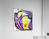 4029 8K Acrylic Print