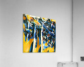 4026 8K Acrylic Print