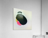 4043 8K Acrylic Print