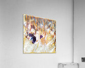 4052 8K Acrylic Print