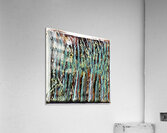 4046 8K Acrylic Print