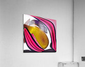 4091 8K Acrylic Print