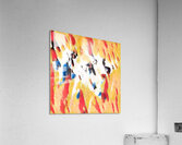 4119 8K Acrylic Print