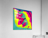 4085 8K Acrylic Print