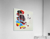 4158 8K Acrylic Print