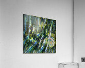 4122 8K Acrylic Print