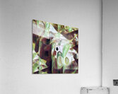 4141 8K Acrylic Print