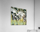 4129 8K Acrylic Print