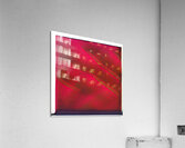 4133 8K Acrylic Print