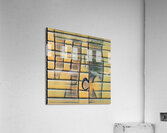 4124 8K Acrylic Print